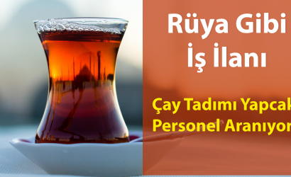 tetley-iş-başvurusu