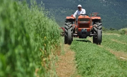 ek5 tarım sigortası primi 2023